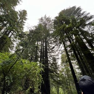 Meet your Posher, Star